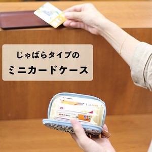 Business Card Case Mini Accordion