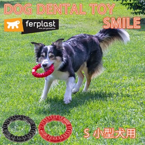 犬用おもちゃ はみがき スマイル S 犬 小型犬 おもちゃ トイ 玩具 デンタル