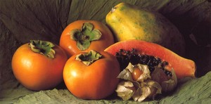 ロングポストカード カラー写真 ジーン・ピア・ディテルラン「柿とパパイヤ」メッセージカード