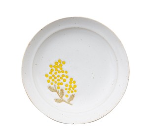 Hasami ware Main Plate Gift Mimosa M Made in Japan