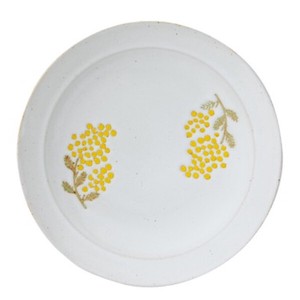 Hasami ware Main Plate Gift Mimosa Made in Japan