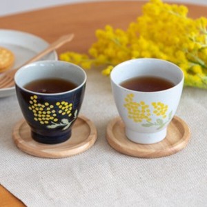 Hasami ware Japanese Teacup Gift Mimosa