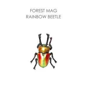 森の仲間たちの造形マグネット【RAINBOW BEETLE】フォレストマグ　ニジイロクワガタ