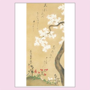 絵はがき〈桜に春草図〉尾形乾山　T−293