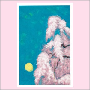 Postcard Cherry Blossoms