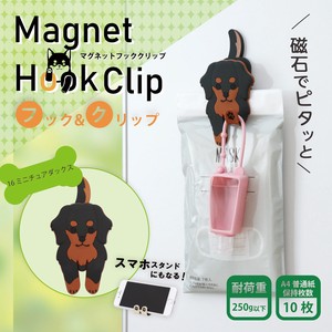 Magnet/Pin