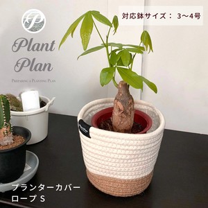 Pot/Planter Size S