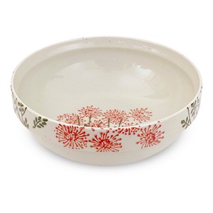 Hasami ware Main Dish Bowl Red L L size M Made in Japan
