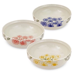 Hasami ware Main Dish Bowl Set L L size M 3-pcs Made in Japan