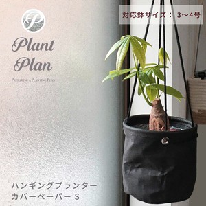 Pot/Planter
