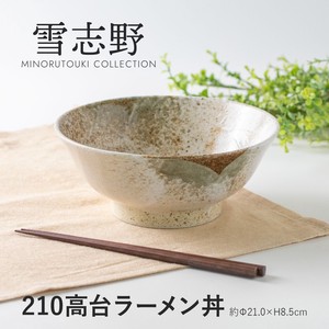 美浓烧 丼饭碗/盖饭碗 陶器 餐具 拉面碗 日本制造