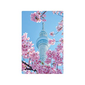 【いろは出版】季節ポストカード 日本の絶景ポストカード春