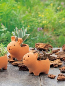 Pot/Planter Animals Cat Rabbit Pig