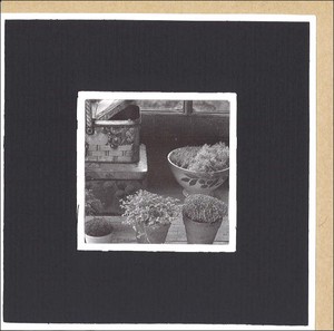 グリーティングカード 多目的/モノクロ写真 クローズリー「観葉植物」窓付きメッセージカード