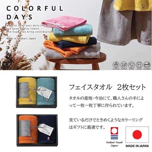 タオル ギフト 今治 日本製 フェイスタオル2枚セット カラフルデイズ