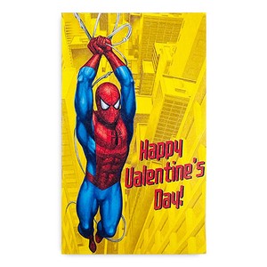 Flat Bag Spider-Man
