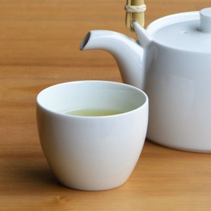 Hasami ware Japanese Teacup Line