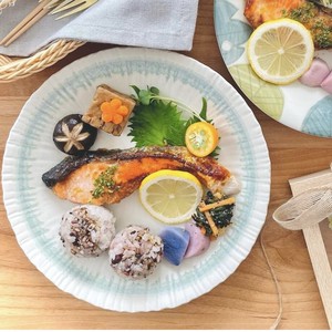 Mino ware Main Plate Horitokusa Made in Japan
