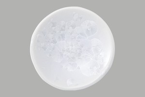 陶あん窯　花結晶（白）　三寸皿　【日本製　京都・清水焼　小皿】