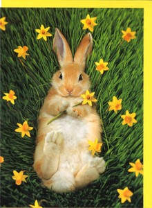 グリーティングカード イースター「花を持ったうさぎ」 メッセージカード カラー写真
