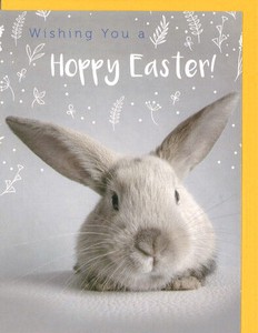 Greeting Card Star Rabbit Message Card