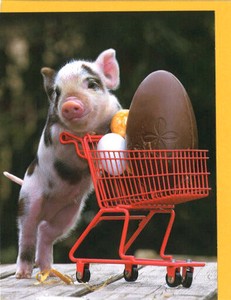 グリーティングカード イースター「エッグを運ぶブタ」 メッセージカード 豚 カラー写真