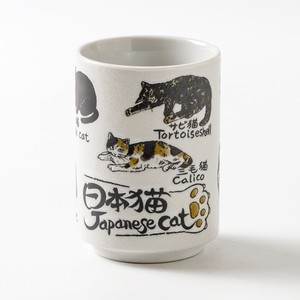 Japanese Teacup Japanese Cat