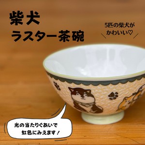柴犬　ラスター茶碗　【美濃焼　茶碗　日本製　和食器　陶器】ヤマ吾陶器