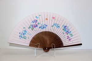 Japanese Fan Hydrangea