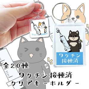 Novelty Item Key Chain Clear