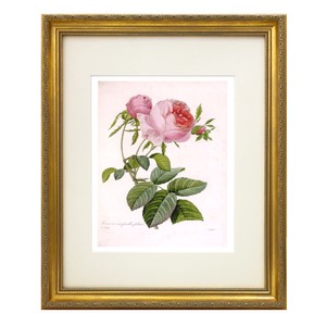 ルドゥーテ「ピンクのバラ」絵画入り額縁 アンティークゴールド 壁掛け
