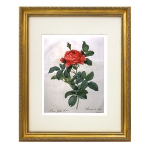 ルドゥーテ「赤いバラ」絵画入り額縁 アンティークゴールド 壁掛け