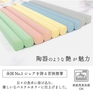 [人気商品]若狭塗箸 パステルカラー 5色展開 POP 食洗機対応 木製