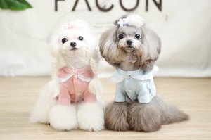 Dog Clothes Lace Tops