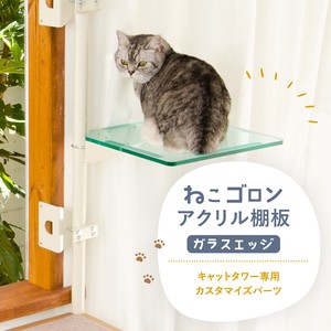 【猫用品】ねこゴロン キャットタワー用アクリル棚板(ガラスエッジ) 猫 キャットステップ ペット 日本製