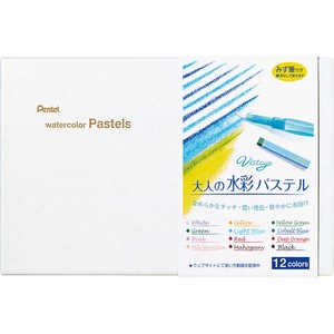 Pentel Paint Set Vistage with Water Brush
