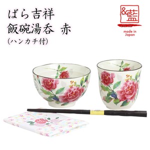 Mino ware Rice Bowl Red Gift Set Pottery Indigo