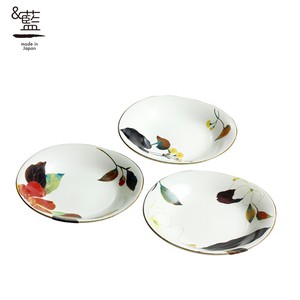 Mino ware Main Plate Gift Set Pottery Indigo