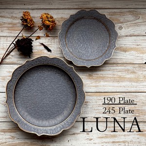 Mino ware Main Plate Luna Black Made in Japan