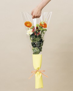 【花袋】デザイン花袋ハンディ＜50cm×30cm＞