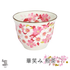 Mino ware Japanese Teacup single item Pottery Indigo