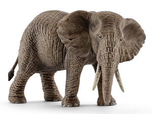 シュライヒ　アフリカ象（メス）