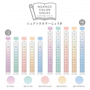 Ruler/Measuring Tool Ruler