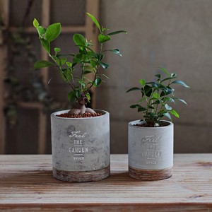 Pot/Planter Antique