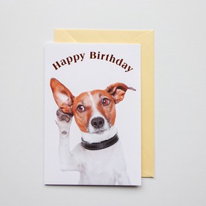 グリーティングカード バースデーカード 誕生日カード イヌ 犬 輸入カード ドイツ製