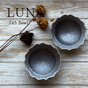 Mino ware Donburi Bowl Luna Black Made in Japan