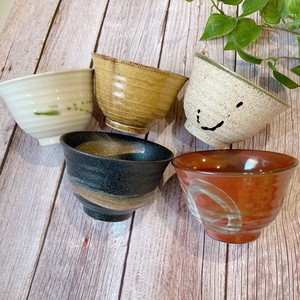 Mino ware Rice Bowl Pottery Made in Japan