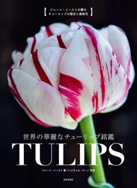 Picture Dictionary Tulips