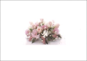 ポストカード カラー写真 「ピンクと白のバラ」メッセージカード 郵便はがき