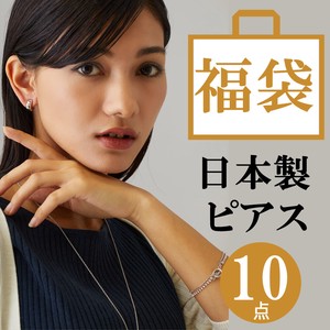 钛耳针耳环（水钻） 2024年 宝石 10件 日本制造